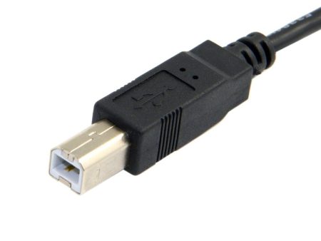 Universal Type-C Male connector USB cable Cheap